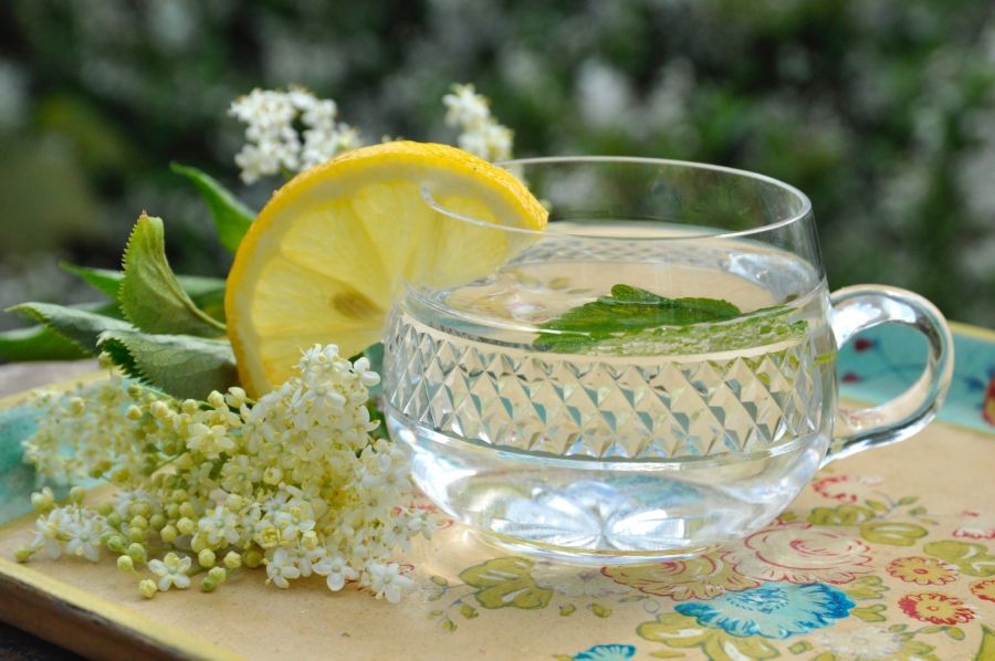 recept za bezgov sirup